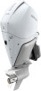 Mercury V 250 CF AM DS – billede